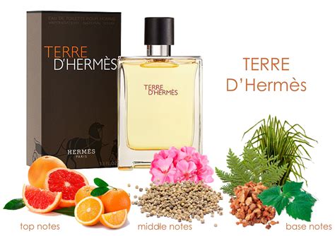 terre d hermes perfume ingredients